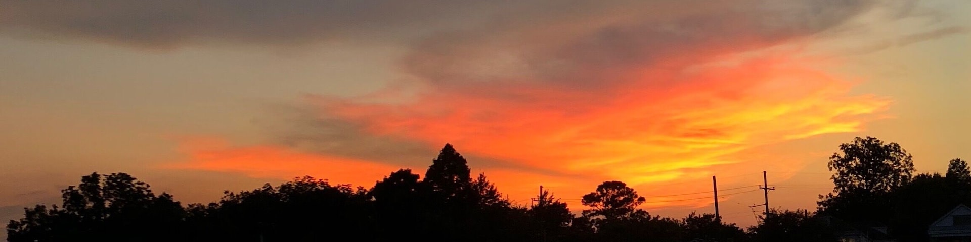 #Golden
My lovely New Orleans has had a complicated history with water but at the end of the travels there is no where else I'd rather call home. Bayou St. John (just north of the French Quarter) was used by Native Americans in pre-Columbian times and still gives New Orleanians a place to canoe and kayak.