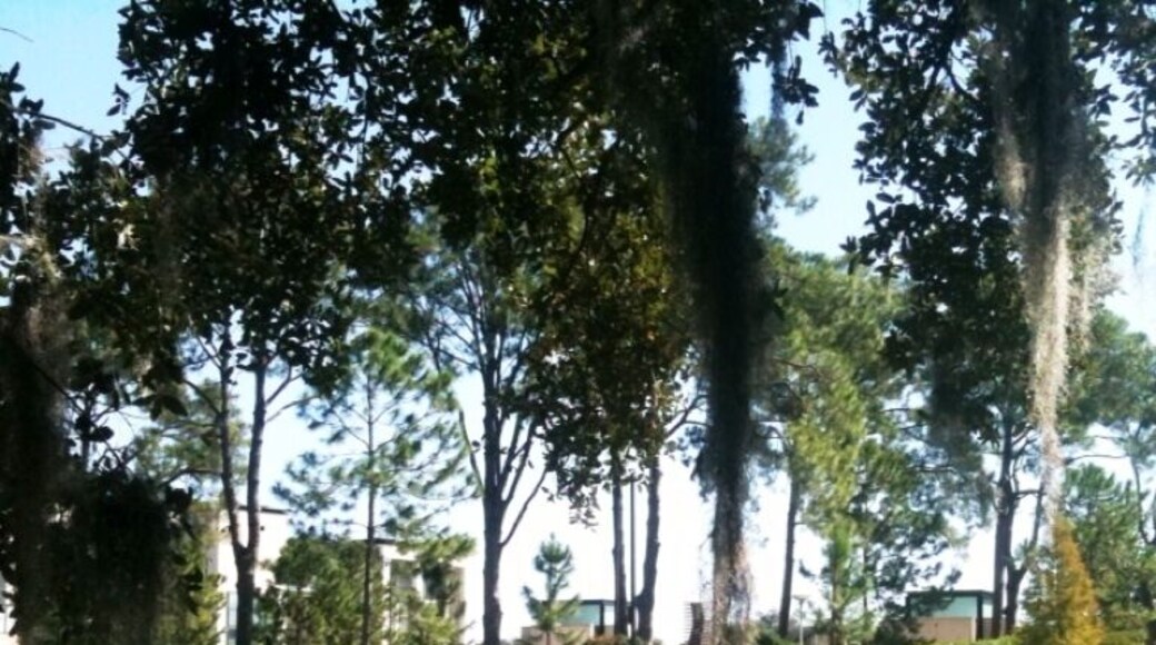 Lower Garden District