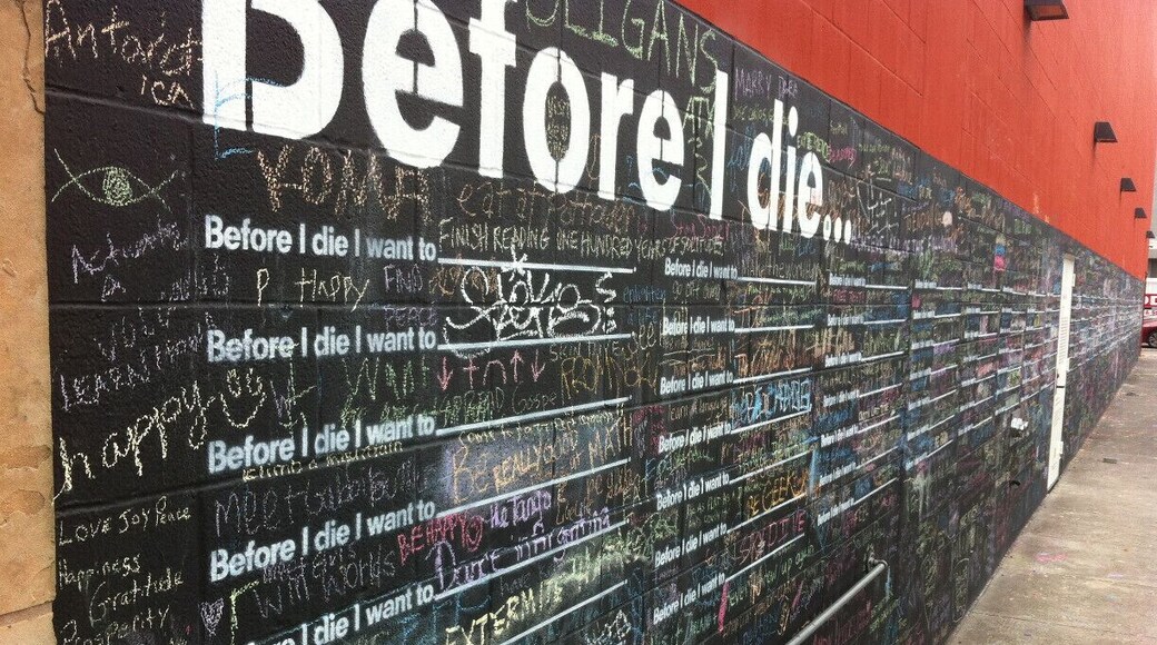 This "Before I Die..." Wall has lots of good bucket list ideas!