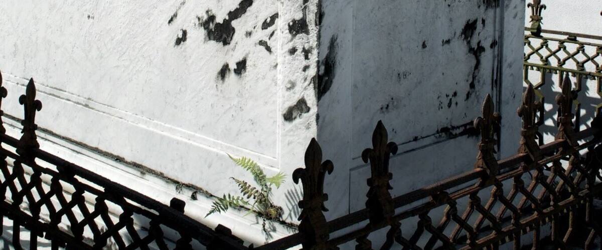 It is customary for entire families to be buried in the same tomb. It is law that you must wait at least 1 year and 1 day before placing another body in a family tomb. They want to ensure it remains sealed and goes through an entire hot summer before reopening. (Yikes.)
#InStone #NOLA