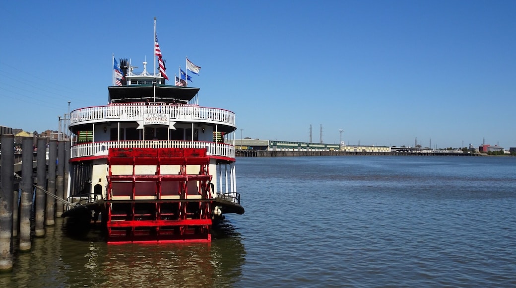 See the real steam powered engines on the Steamboat Natchez.