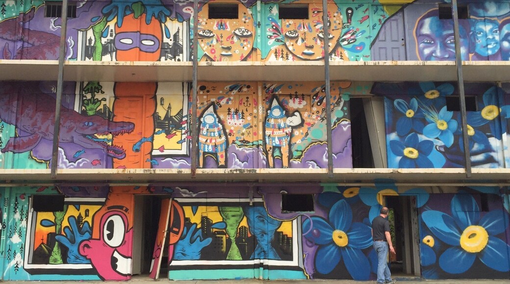 Across the river from New Orleans is an old abandoned apartment complex that has fallen to graffiti, but I call it art. Spectacular!