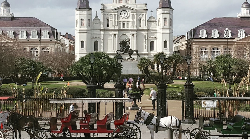 Probably the best place to see the Cathedral.