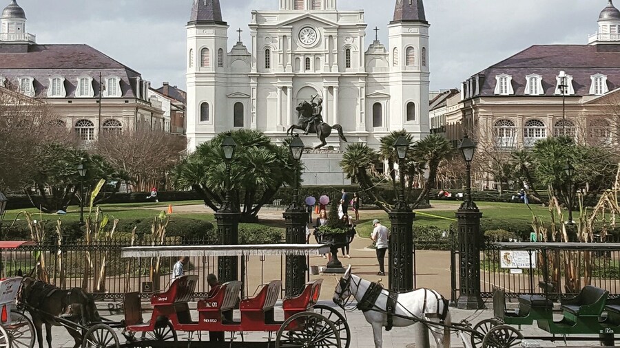 Probably the best place to see the Cathedral.