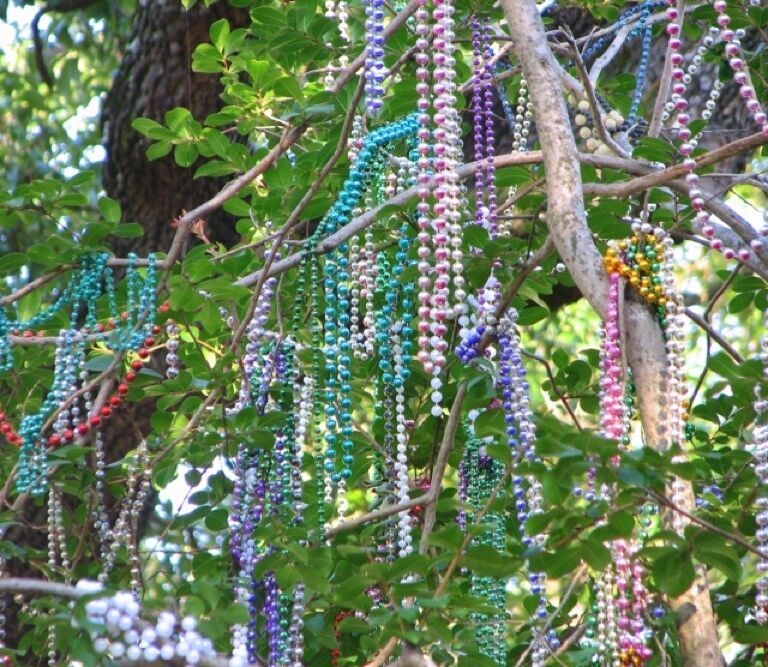 Uptown and Carrollton District