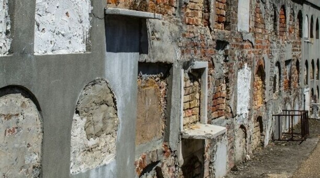 So many pictures, so little time.