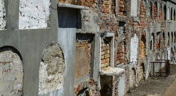 So many pictures, so little time.