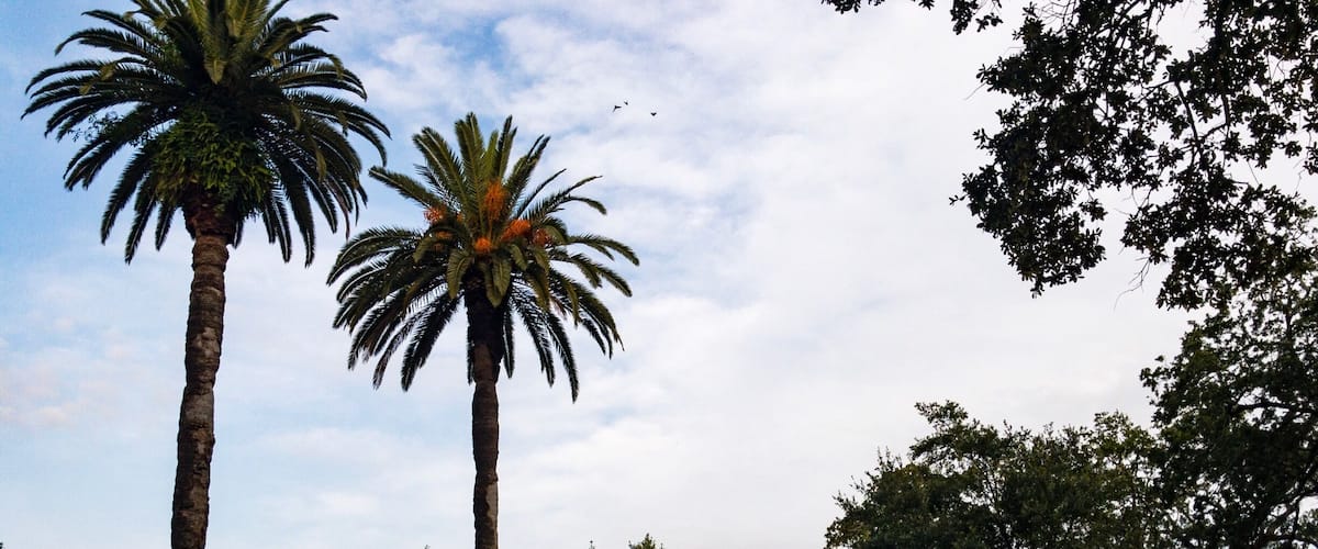 Loyola's Broadway Campus