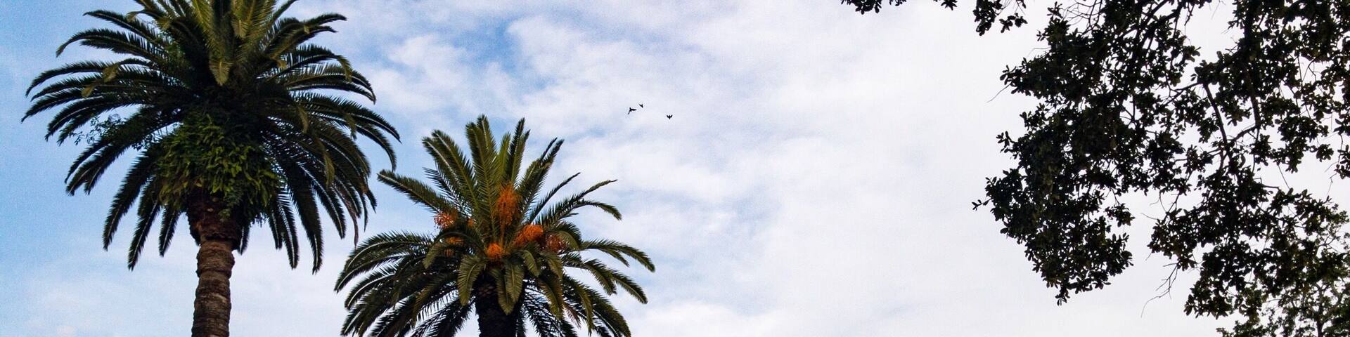 Loyola's Broadway Campus