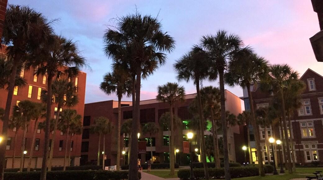 Loyola University New Orleans - Established in 1904 Loyola University draws from its famous New Orleans location and vibrantly intellectual Jesuit tradition to give you a college experience that can’t be matched anywhere in the world.