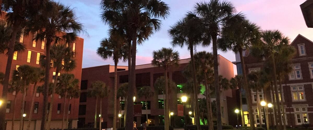 Loyola University New Orleans - Established in 1904 Loyola University draws from its famous New Orleans location and vibrantly intellectual Jesuit tradition to give you a college experience that can’t be matched anywhere in the world.