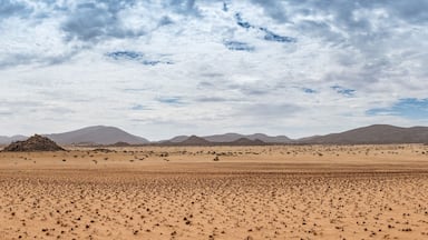 Paisagem desértica com vegetação rala e montanhas ao longe, sob um céu nublado.