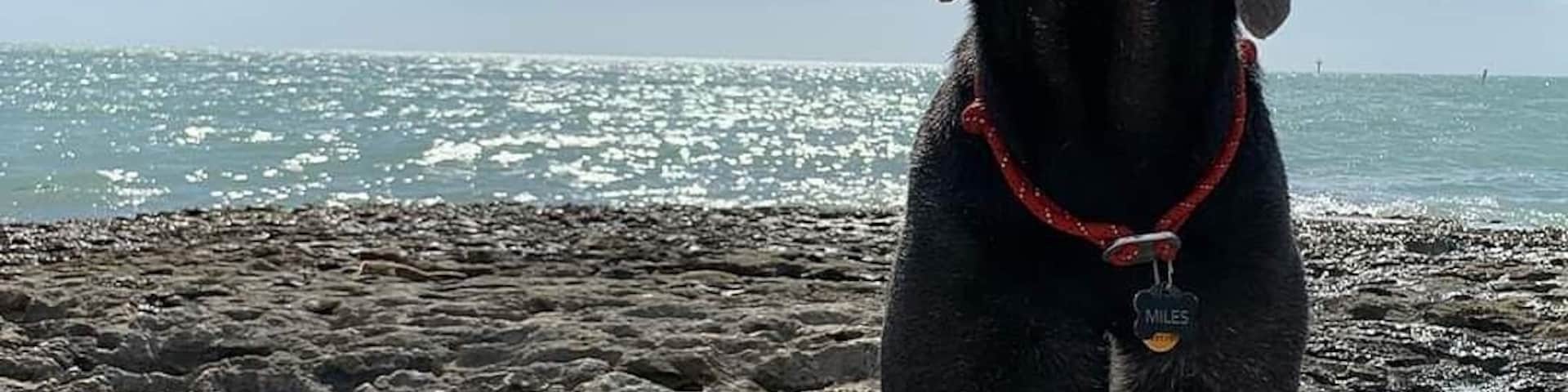 Beautiful dog friendly beach in the Florida Keys. Two smaller Sandy beaches on either side of this rocky outcrop.