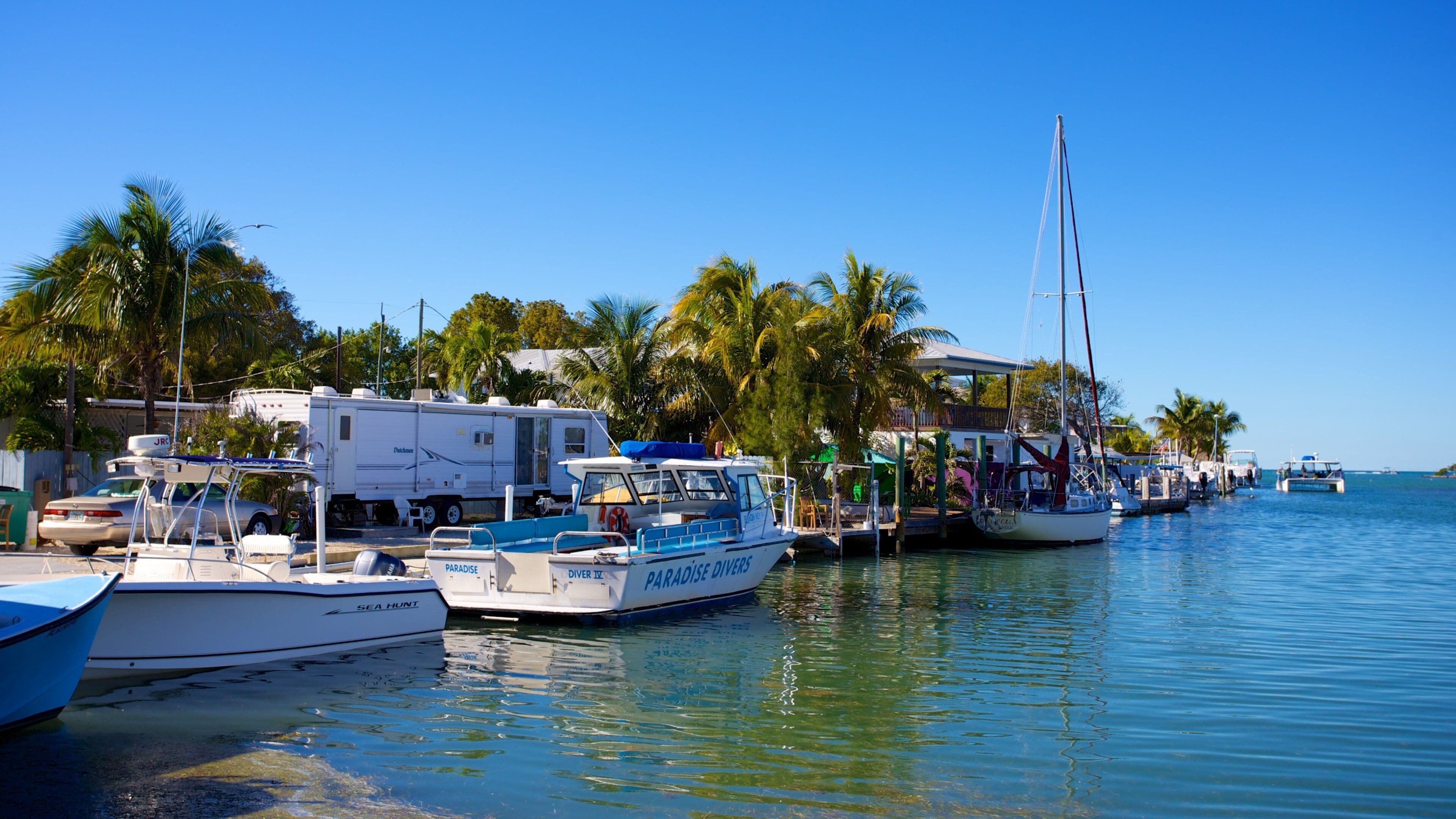 Marathon featuring a coastal town and a bay or harbor