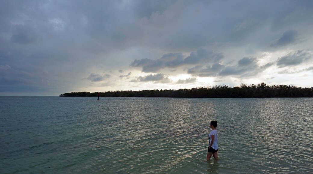 Watching sunset by the beach is so romantic and very relaxing. Florida Keys is known for amazing sunset. 💑 🏖🌞