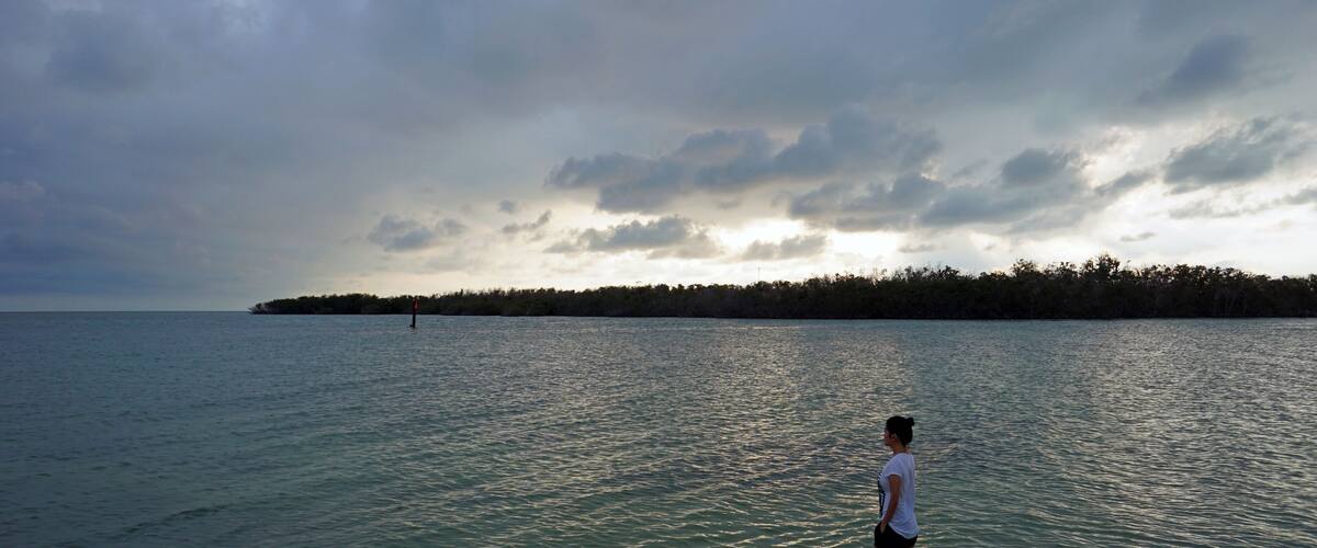 A person standing in calm waters with a cloudy sky and a distant shoreline.