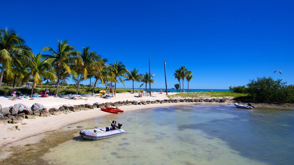 A beach with clear turquoise water, palm trees, and a few boats.