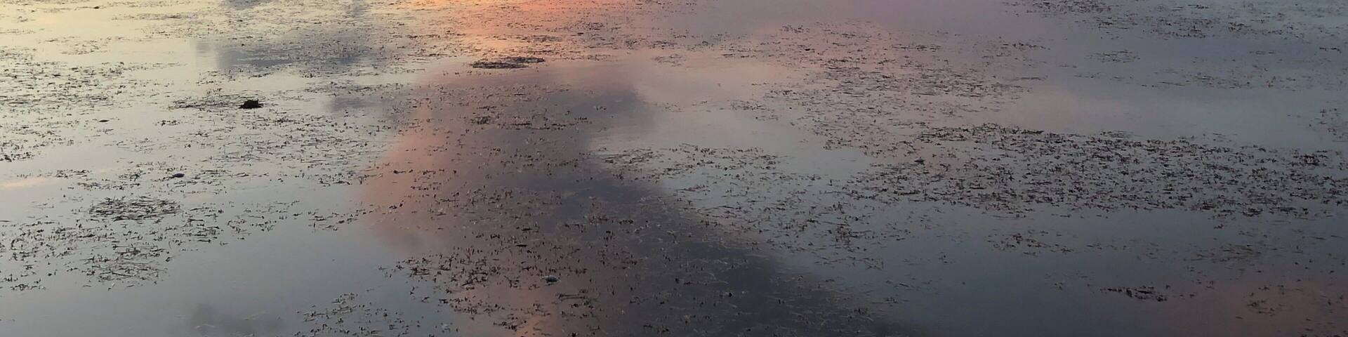 Begun in 1285, Minster Salem is the third largest church built in Baden-Württemberg after Ulm and Freiburg. The monastery church, which was consecrated in 1414, had 300 monks and lay brothers. The whole interior grandeur of the late ministry years comes as a surprise to visitors.