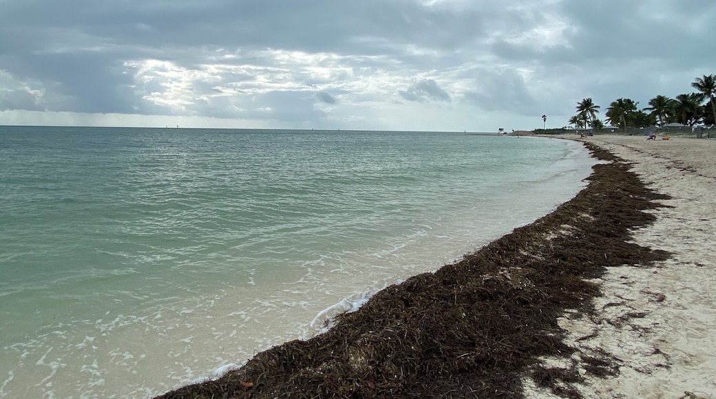 Great time in Marathon, FL...