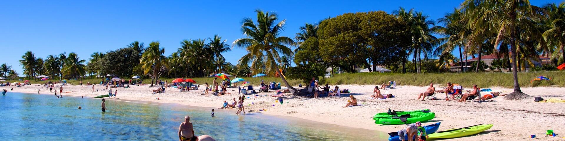 Marathon mettant en vedette baignade, scĂšnes tropicales et plage de sable