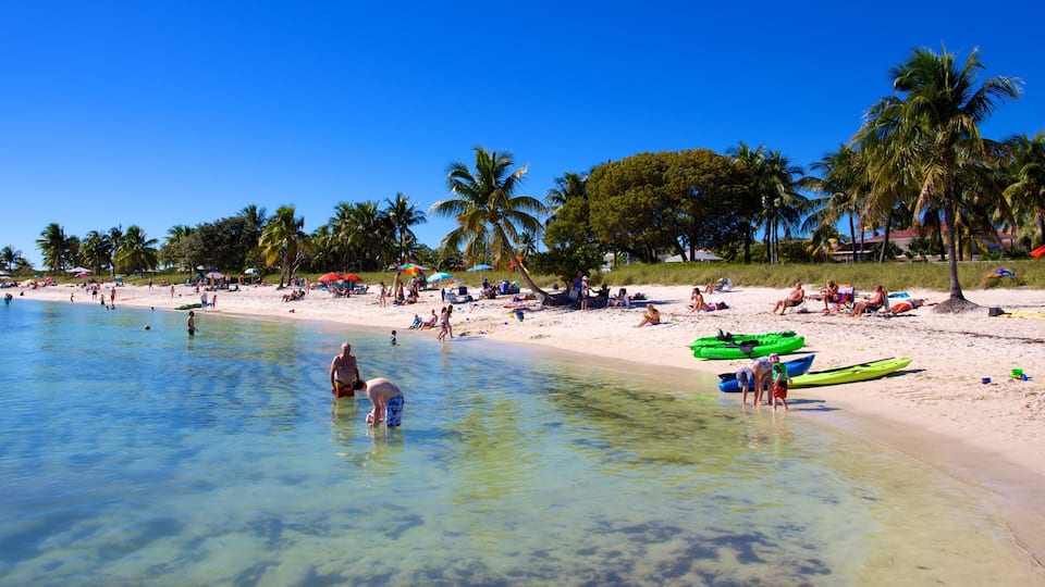 A beach with clear water, palm trees, and people relaxing on the sand.