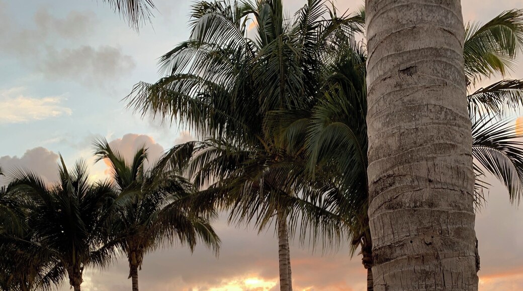 The sunrise at #islabellabeachresort is stunning. The service and amenities are the best in the Florida Keys