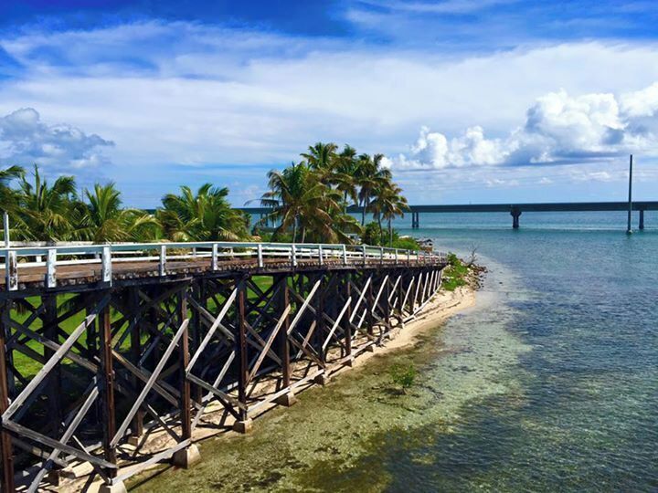 The wooden bridge to Pigeon Key.  It is now closed to pedestrian and bicycle traffic, so the only way to reach Pigeon Key is by ferry.  You can still walk out to the wooden bridge by using what was part of the old 7 Mile Bridge.  If you walk out, keep an eye on the water for sharks, sea turtles and sting rays.  The new bridge, in the background of this picture, was opened in the early 80's and is the favored way to reach Key West from main land Florida.  Pigeon Key housed the workers for the Overseas Railway, that operated between 1912-1935. 