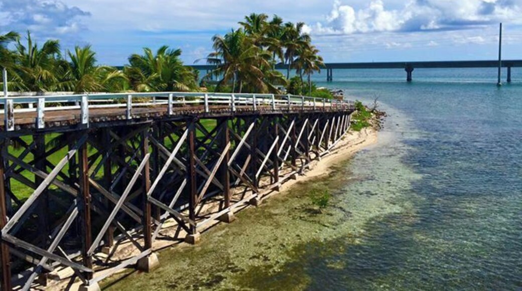 The wooden bridge to Pigeon Key. It is now closed to pedestrian and bicycle traffic, so the only way to reach Pigeon Key is by ferry. You can still walk out to the wooden bridge by using what was part of the old 7 Mile Bridge. If you walk out, keep an eye on the water for sharks, sea turtles and sting rays. The new bridge, in the background of this picture, was opened in the early 80's and is the favored way to reach Key West from main land Florida. Pigeon Key housed the workers for the Overseas Railway, that operated between 1912-1935.
