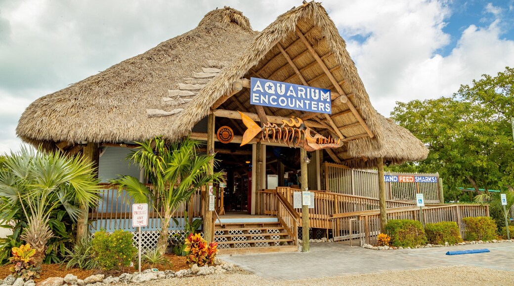 St Maarten and St Martin featuring signage
