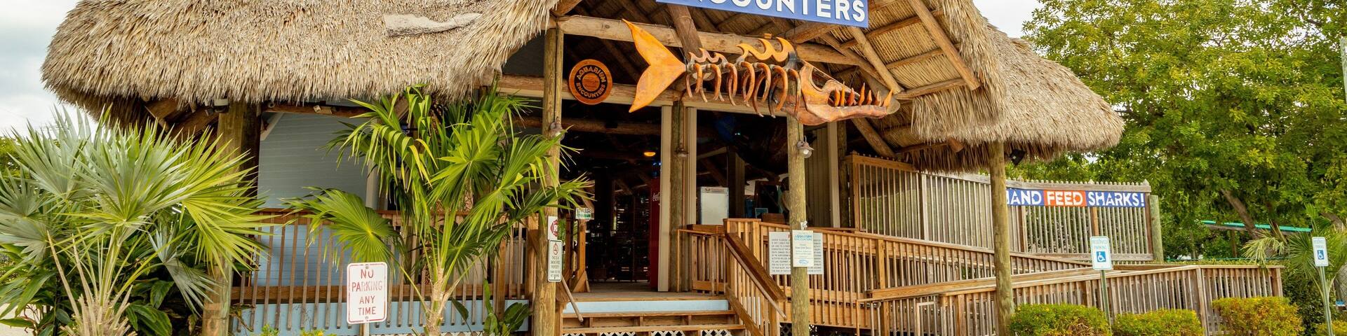 A thatched-roof building labeled 'Aquarium Encounters' with a sign indicating 'No Parking Any Time'.