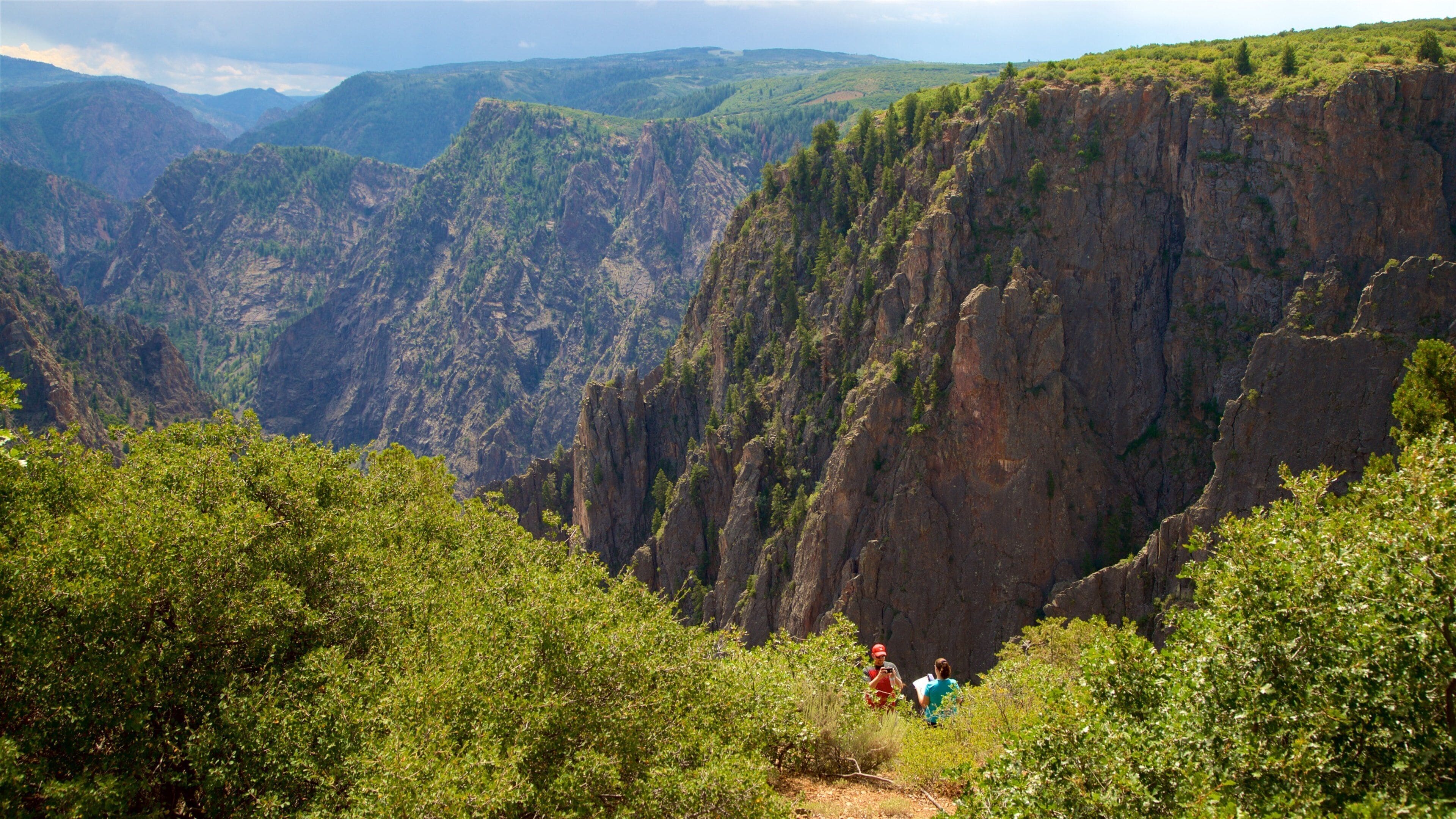 A canyon with steep cliffs and dense greenery.