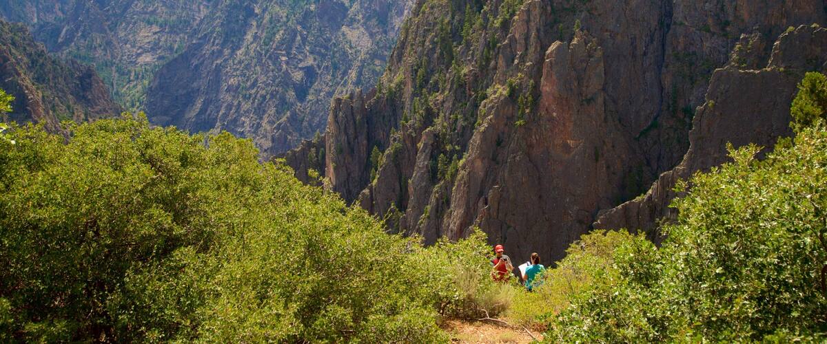 A canyon with steep cliffs and dense greenery.