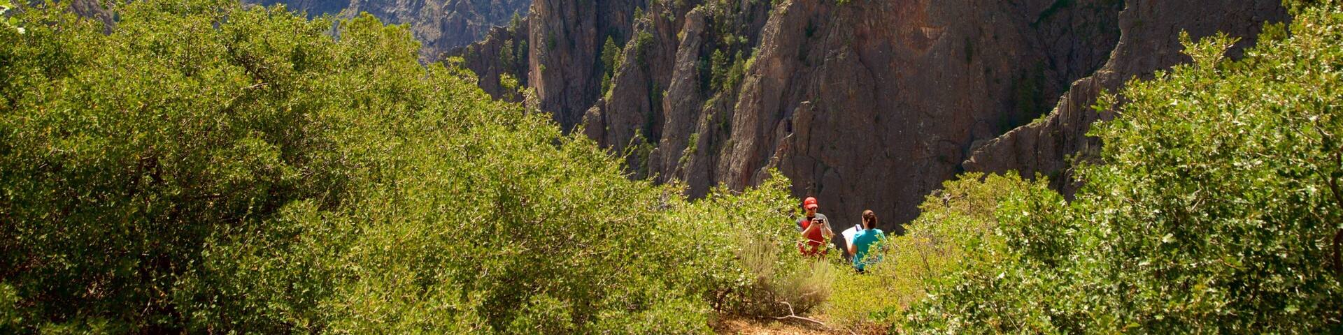 A canyon with steep cliffs and dense greenery.