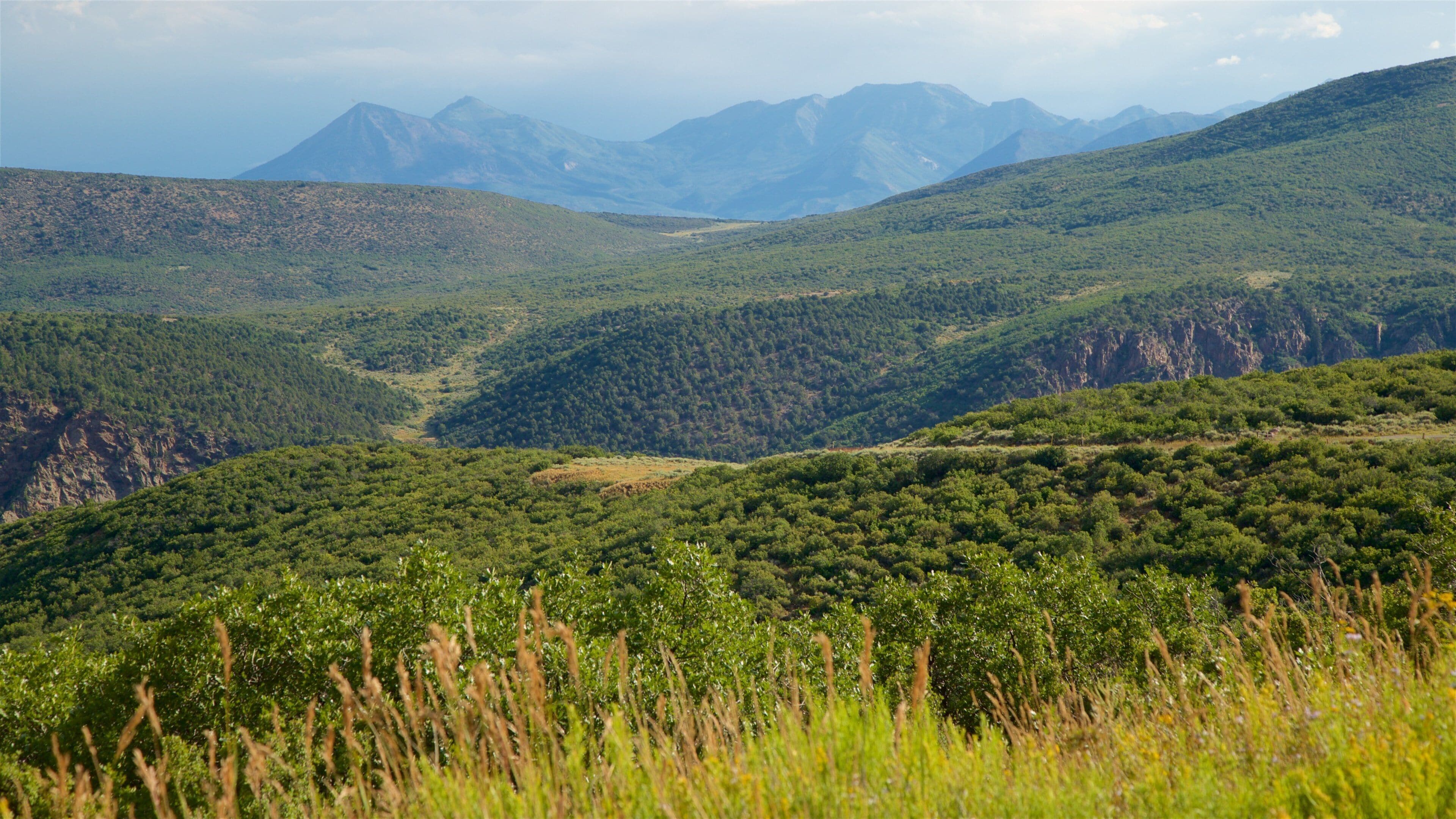 Montrose featuring landscape views and tranquil scenes