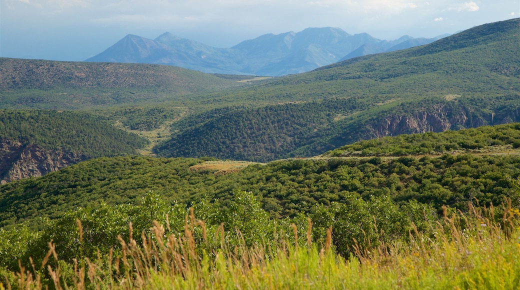 Montrose featuring landscape views and tranquil scenes