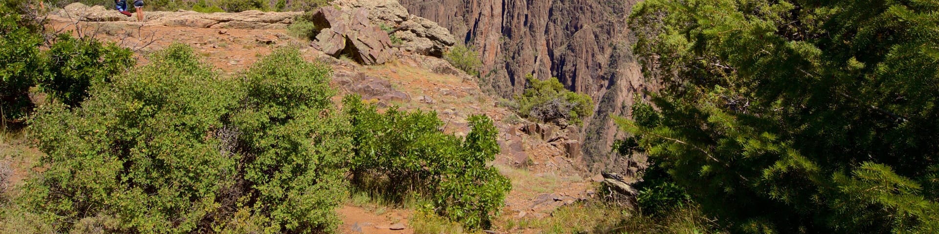 A canyon with a rocky landscape and green vegetation.