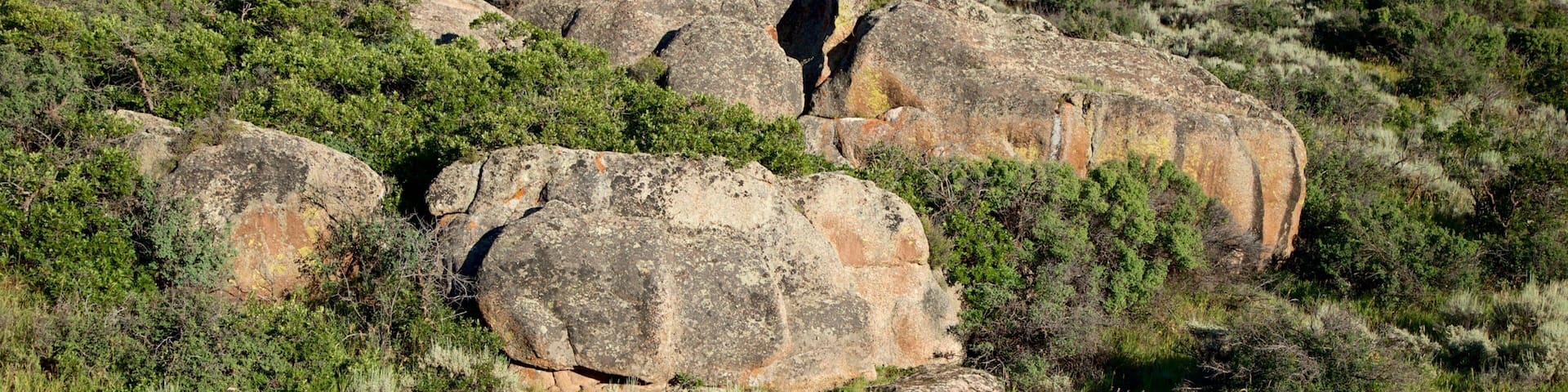 Montrose featuring landscape views and tranquil scenes