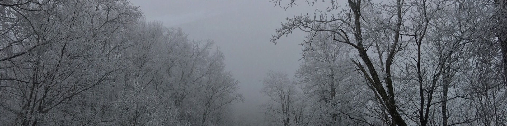 Winter view of some rim ice along the Cherohala Skyway. The Cherohala Skyway is a 43-mile National Scenic Byway and National Forest Scenic Byway that connects Tellico Plains, Tennessee, to Robbinsville, North Carolina in the southeastern United States. Its name is a portmanteau of Cherokee and Nantahala, the two national forests through which it passes.