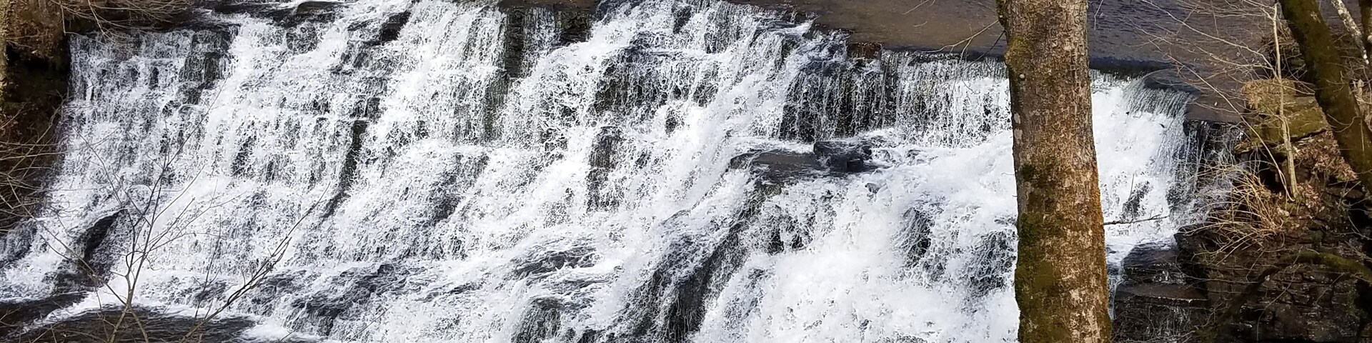 Una cascada escalonada rodeada de árboles y terreno rocoso.