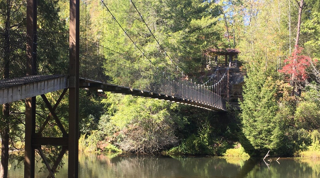 Lots of trails for easy to moderate hiking. There’s a swinging bridge, natural bridge, and beautiful scenery.