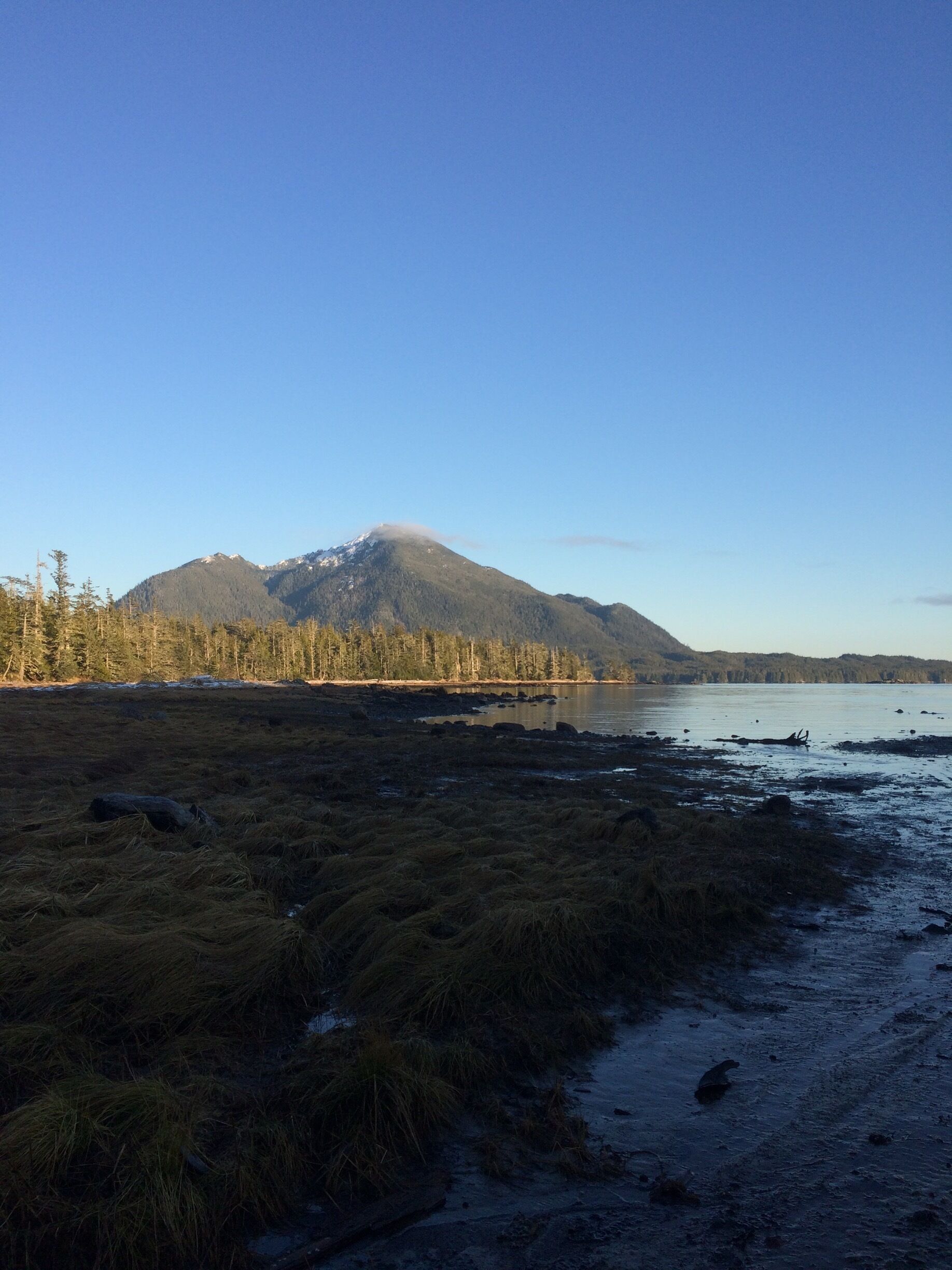 Untapped Southeast Alaska 
#lifeatexpedia 
#inlovewithalaska
#green