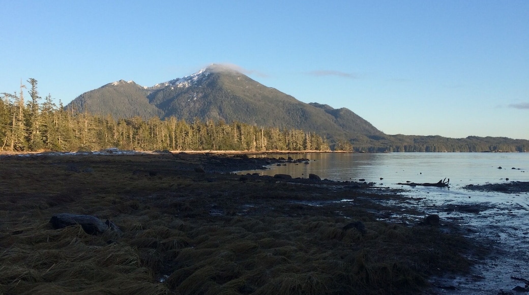 Untapped Southeast Alaska
#lifeatexpedia
#inlovewithalaska
#green