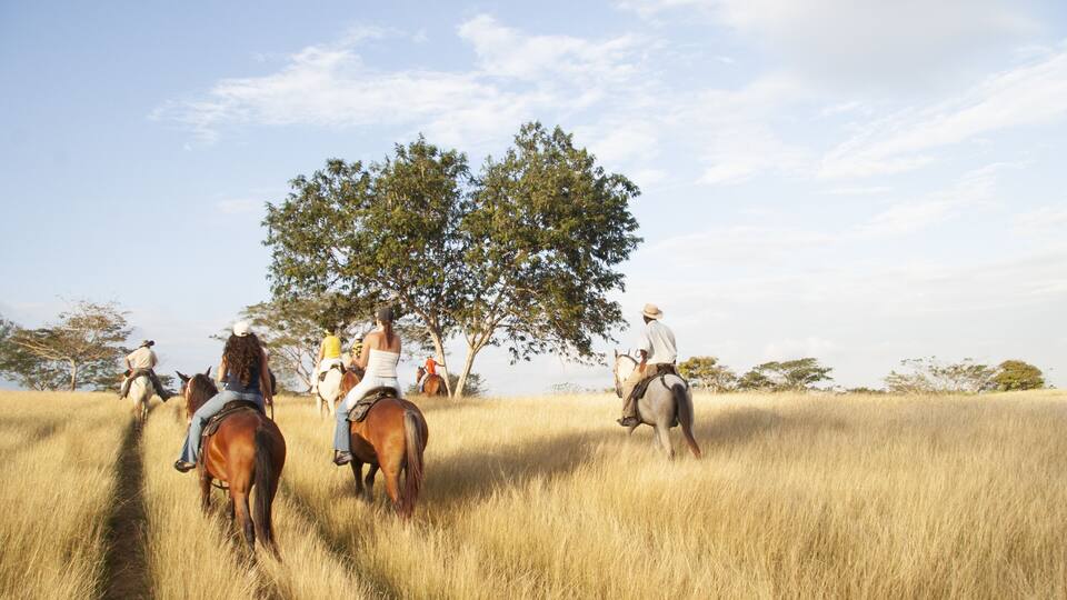 A group of people riding horses through a grassy field with trees in the background.