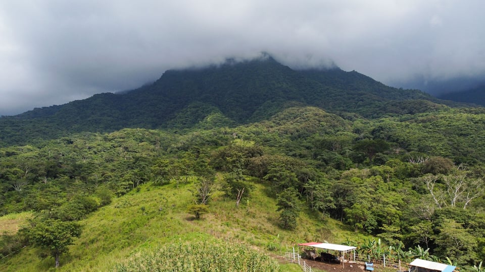 A lush green landscape with a mountain in the background partially covered by clouds. There is a small structure with a red roof in the foreground.