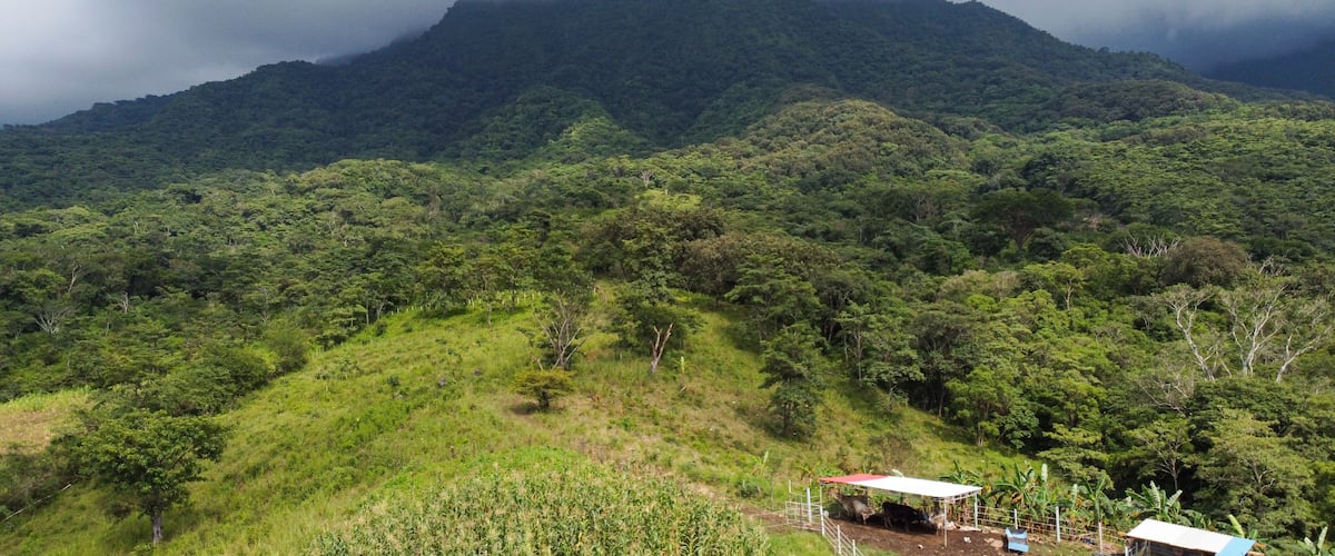 A lush green landscape with a mountain in the background partially covered by clouds. There is a small structure with a red roof in the foreground.