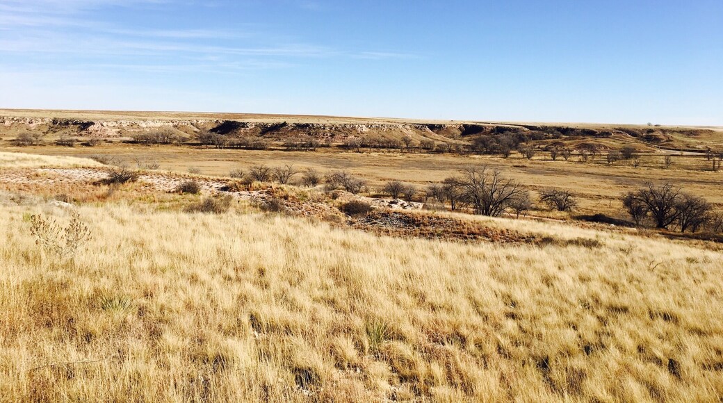Beautiful walking trails and birding.