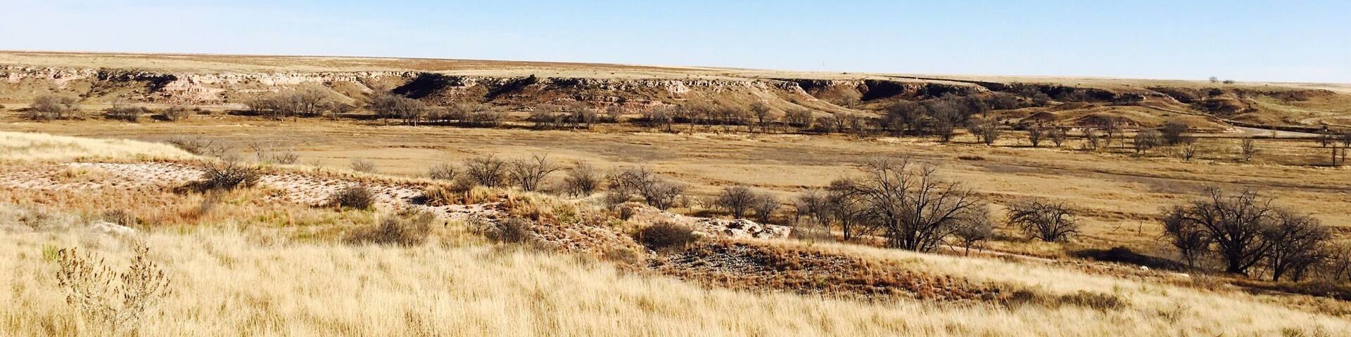 Beautiful walking trails and birding.