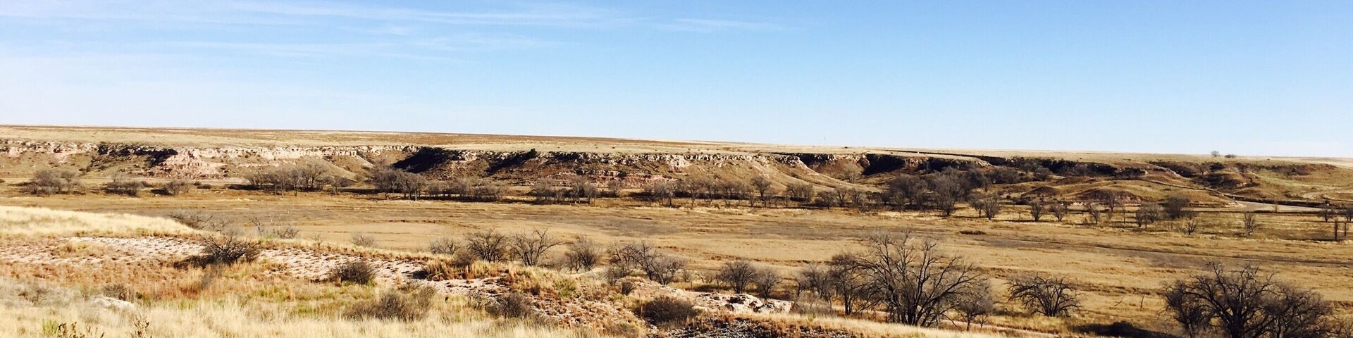 Beautiful walking trails and birding.