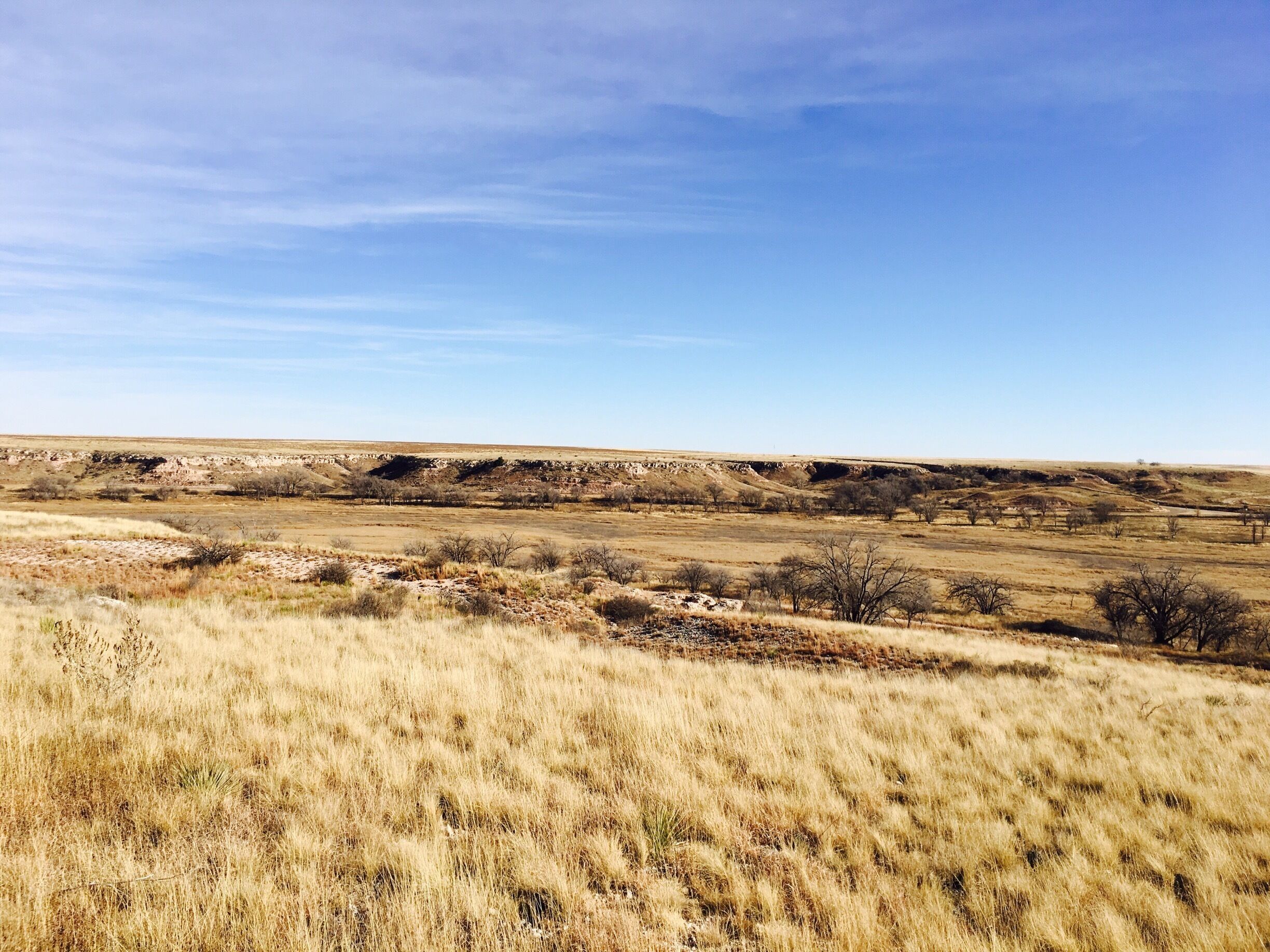 A vast, open landscape with rolling hills and sparse vegetation under a clear sky.