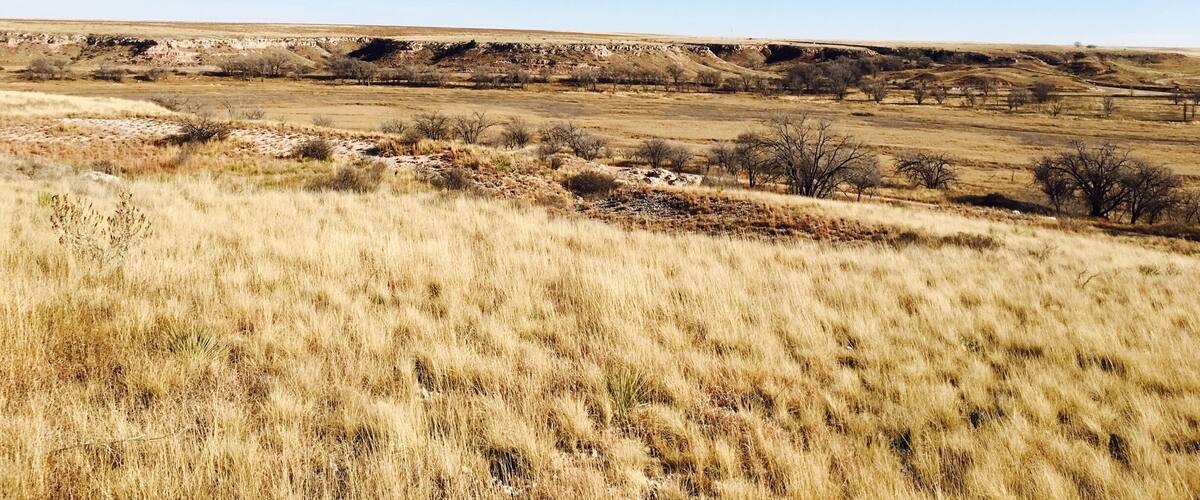 A vast, open landscape with rolling hills and sparse vegetation under a clear sky.